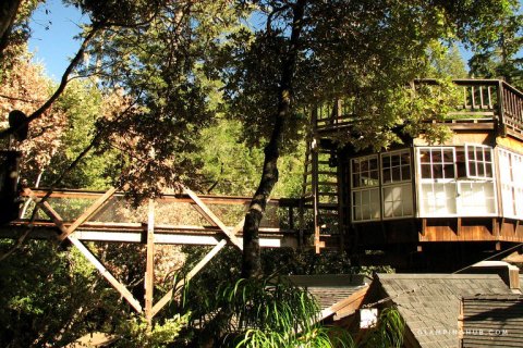 This Massive Luxury Treehouse In Northern California Looks Unreal But You Can Spend The Night In It