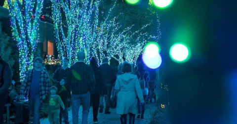 Take An Enchanting Winter Walk Through Garden Lights Holiday Nights In Georgia