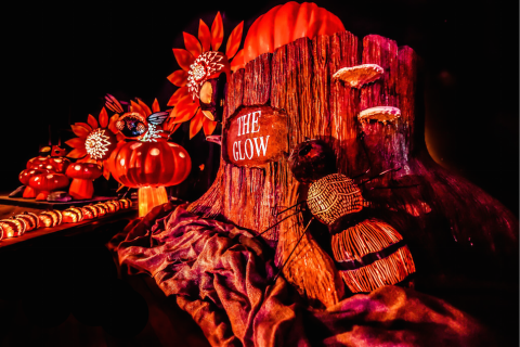 Walk Through A Village Of Over 5,000 Glowing Pumpkins At Sensory Garden Playground In Illinois