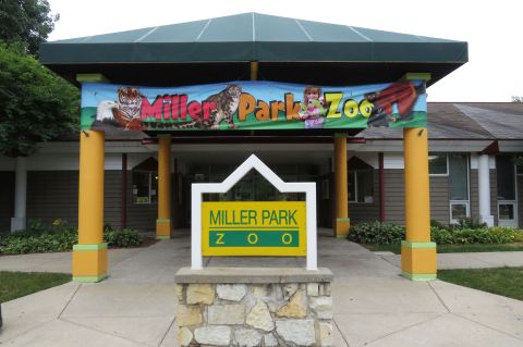 Most People Don’t Know About Miller Park Zoo, An Underrated Attraction Hiding In Illinois