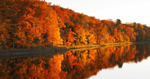 Take A 1.5-Hour Drive Through Wisconsin To See This Year's Beautiful Fall Colors