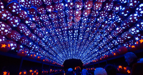 Walk Through Over 7,000 Glowing Pumpkins At New York's Great Jack O'Lantern Blaze