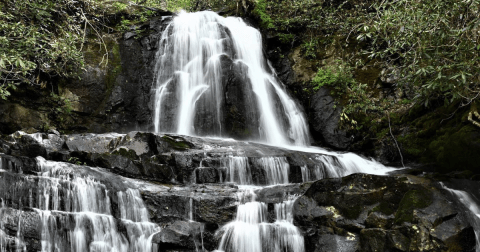 The 2.6-Mile Laurel Falls Trail Is A Beautiful And Easy Trail To Take In Tennessee