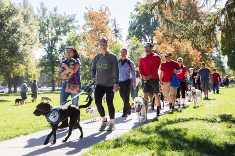 Strut Your Mutt In Liberty Park At This Doggone Great Utah Festival