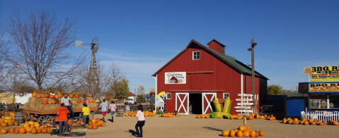 Choose From Over 70 Varieties Of Pumpkins At The Charming Anderson Farms In Colorado