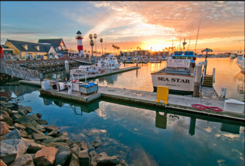 The Plates Are Piled High With Seafood At The Delicious Harbor Fish And Chips In Southern California