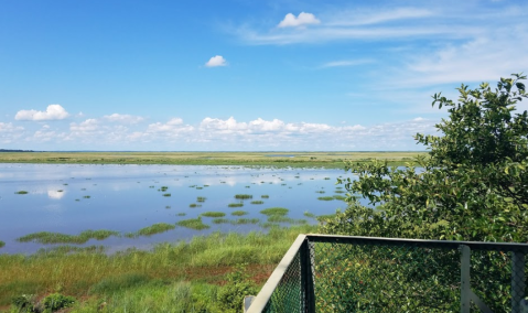 Take A Short Hike To A Stunning Overlook At Bombay Hook National Wildlife Refuge In Delaware