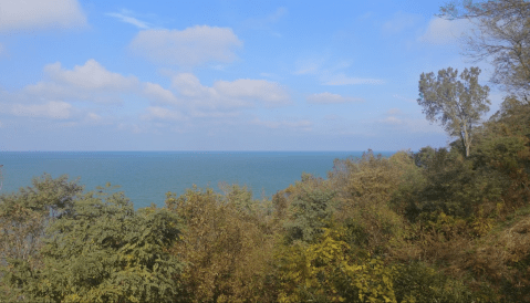 Fall Foliage Meets A Beautiful Waterfront Overlook At Lookout Park In Michigan