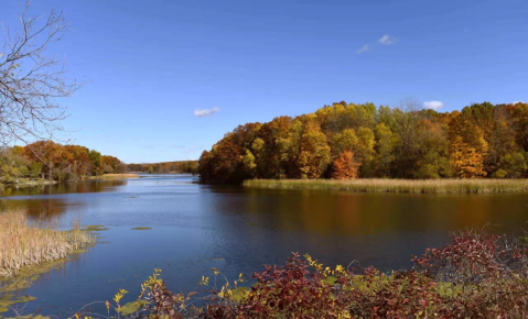 Surround Yourself With Fall Foliage On Wildwing Trail, An Easy 2-Mile Hike Near Detroit