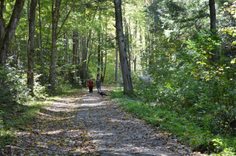 The Spooky Jakes Creek Trail In Tennessee Will Lead You To The Elkmont Ghost Town