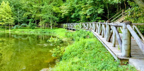 Lake Ponder Boardwalk Trail In Arkansas Leads To Incredibly Scenic Views