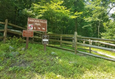 The Hike To Maryland's Cascade Falls Is Short And Sweet