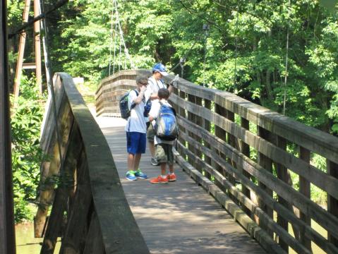 The 1-Mile Chau Ram Falls Trail Is A Beautiful And Easy Trail To Take In South Carolina