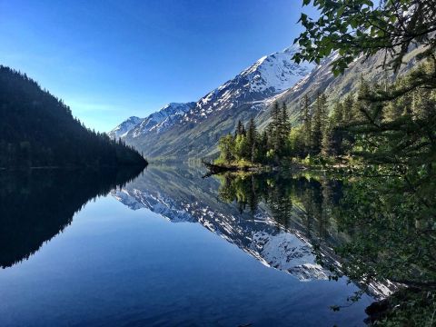 Follow The Glacial Fed Stream To A Hidden Lake On Ptarmigan Lake Trail In Alaska