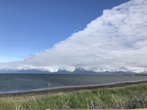 Walk Right Along The Pacific Ocean In Alaska On The Easy Homer Beach Trail