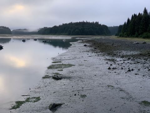 Bartlett Cove Forest Loop Trail In Alaska Leads To Incredibly Scenic Views