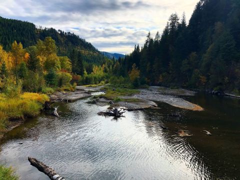 The Sullivan Lake Trail Is The Most Underrated Fall Hike in Washington