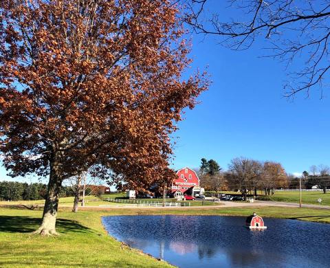 Smiling Hill Farm Is A Small Town Petting Zoo In Maine That's Worthy Of A Road Trip