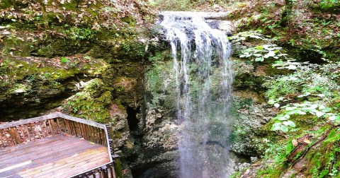 See The Tallest Waterfall In Florida At Falling Waters State Park