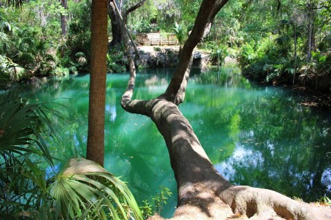 The Emerald-Colored Springs At Green Springs Park In Florida Are A Natural Wonder