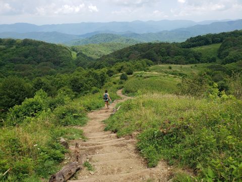 7 Of The Greatest Mountain Hiking Trails In North Carolina For Beginners