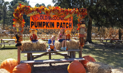 Old Macdonald’s Farm In Texas Has A Fall Festival That’s Fun For The Whole Family