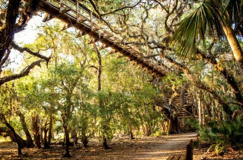 The Longest Elevated Canopy Walk In Florida Can Be Found At Myakka State Park