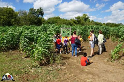 Have The Classic Fall Experience At Orr Family Farm In Oklahoma