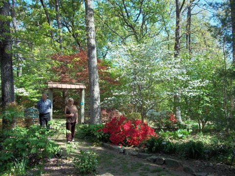 Meander Through 1,200 Different Types Of Plants At Lendonwood Gardens In Oklahoma