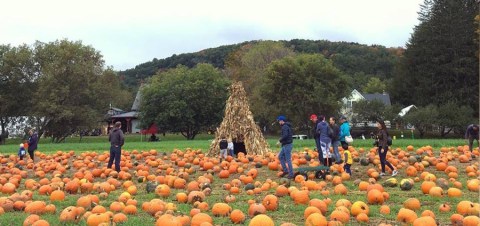 The Pumpkin Festival At Cedar Circle Farm In Vermont Is A Day Of Quirky Family Fun