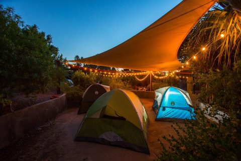 Spend The Night At The Phoenix Zoo In Arizona For An Evening Of Wild Fun