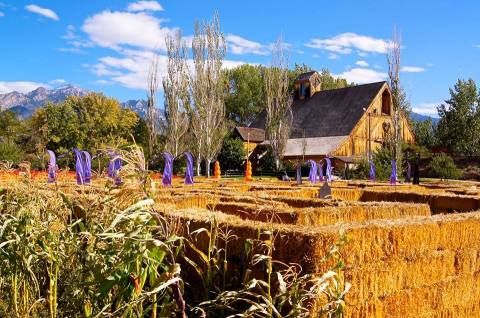 Even The Littlest Punkins Will Love Pumpkin Days At Utah's Wheeler Historic Farm