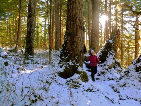 Wyoming's Winter Can Be A Brutal Season - Here Are 9 Ways To Prepare Yourself