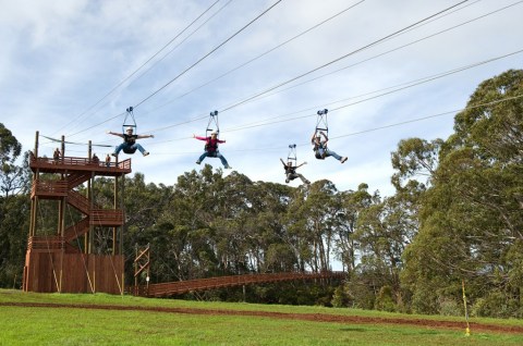 Enjoy A Sky-High Tour Of The Forest Canopy On The Zipline At Piihole Ranch In Hawaii