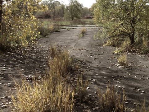 The Abandoned Neighborhood Of Love Canal Near Buffalo Is Toxic And You’ll Want To Stay Far Away