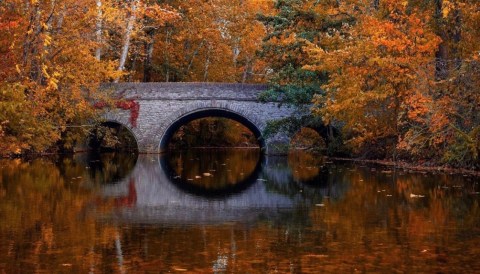 Experience Peak Fall Foliage Right Now Along The Hiking Trails Of Sharon Woods In Cincinnati