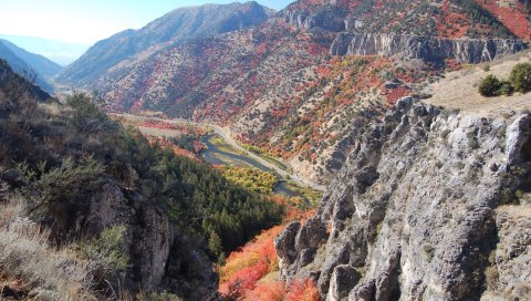 Stokes Nature Center Is The Most Peaceful Place To Experience Fall Foliage In Utah