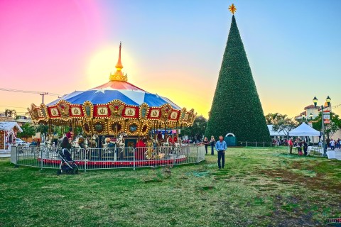 People Travel For Miles To Witness The Awesome Tree Lighting Ceremony In Delray Beach, Florida