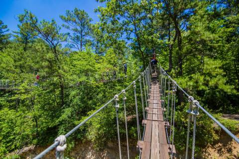 Tackle Tree Walks, Canopy Trails, And Other Feats Deep In A North Carolina Forest At ZipQuest