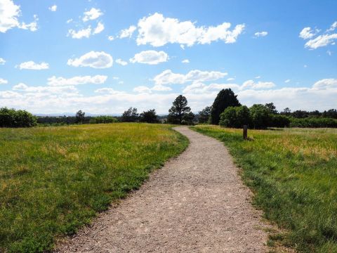 The Beautiful Lake Gulch Trail Is An Easy 1-Mile Hike In Colorado That's Great For Beginners And Kids