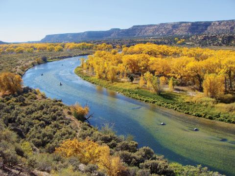 You Can’t Pass Up A Trip To See New Mexico’s Fall Foliage In These 7 State Parks