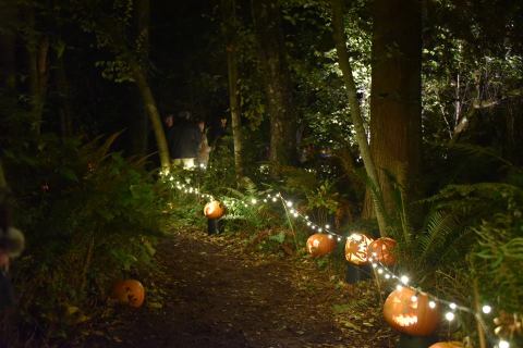 The Bainbridge Gardens Pumpkin Walk In Washington Is A Classic Fall Tradition