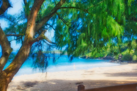 There's No Better Place For A Beach Day Than Hawaii's D.T. Fleming Beach Park