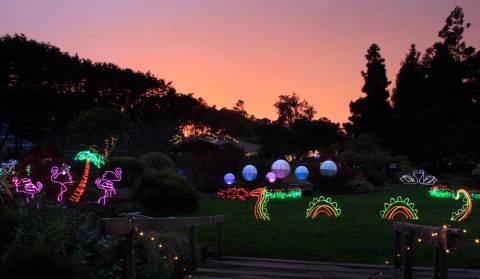 The Festival Of Lights In Northern California Is A Magical Wintertime Fairyland Experience