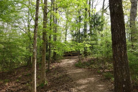 The First State Supported Arboretum Is In Louisiana And It Makes A Great Fall Adventure