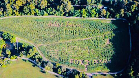 Escape The Red Corn Maze Massacre At Brookdale Farms, The Largest Outdoor Haunted Attraction In Missouri