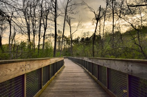 Suwanee Creek Greenway In Georgia Leads To Incredibly Scenic Views