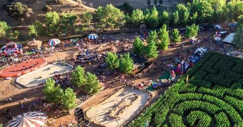 The Festive Pumpkin Farm In Southern California At Live Oak Canyon Is Packed With A Whirlwind Of Fall Adventures