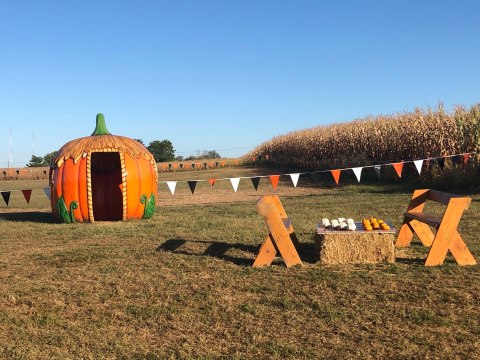 Celebrate All Things Pumpkin At The Maryland Pumpkin Festival