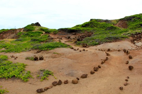 The Beautiful Ohai Loop Trail Is An Easy 1.2-Mile Hike In Hawaii That’s Great For Beginners And Kids